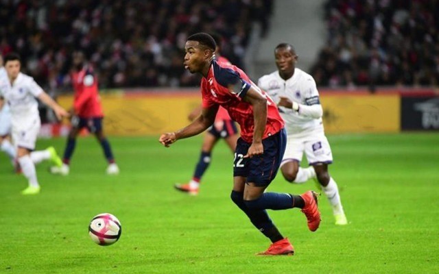 的团队中 的团队中