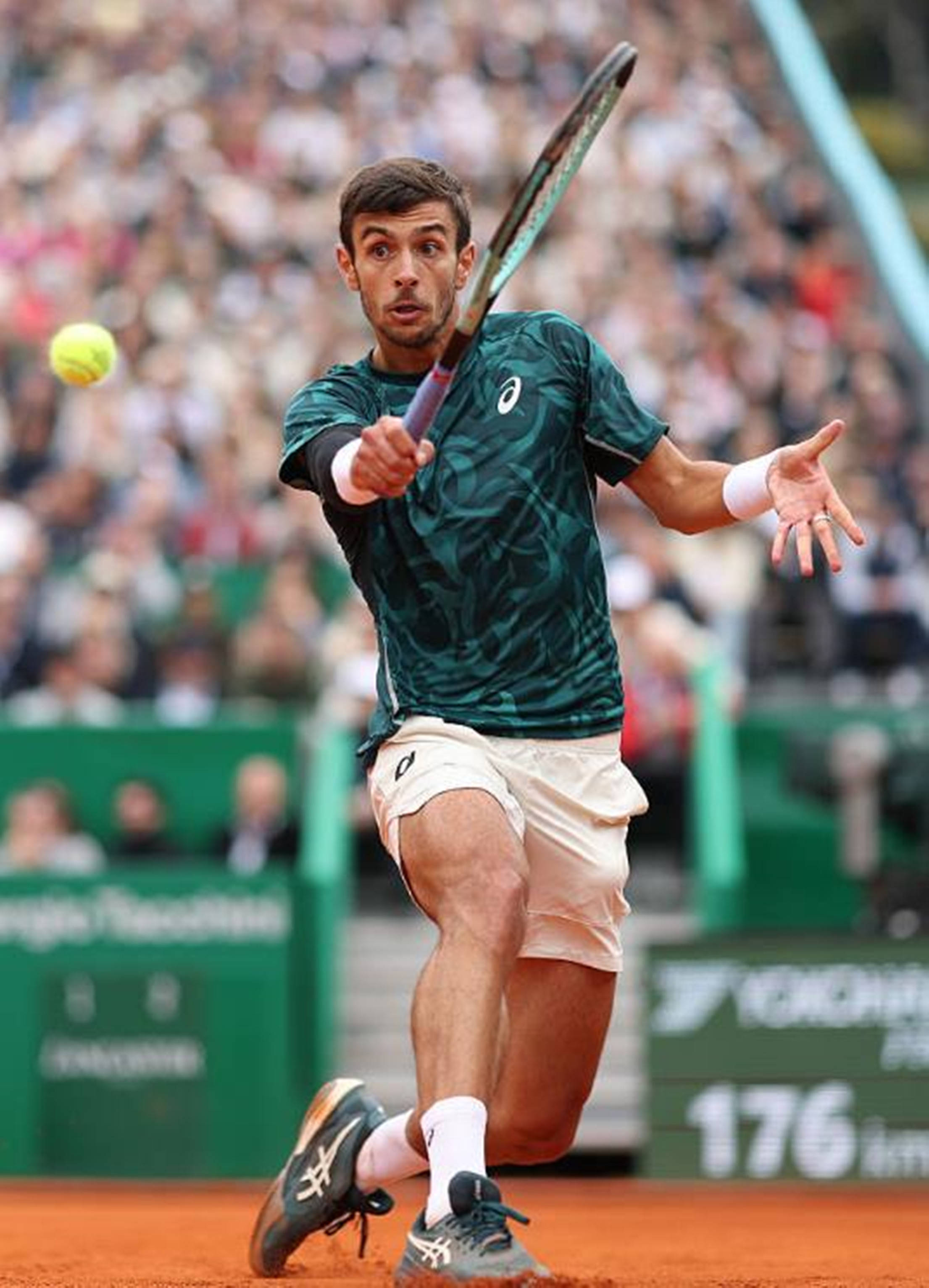 球迷的支持 球迷的支持